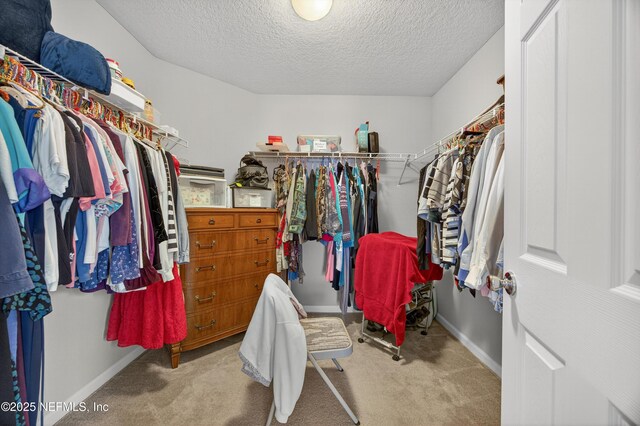 14880 Durbin Cove Way, Jacksonville, FL 32259 - photo 23