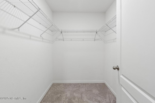 814 Bent Baum Rd, Jacksonville, FL 32205 - photo 21
