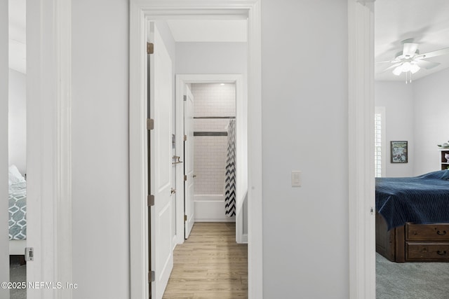50 Tartan Ct, Saint Augustine, FL 32092 - hall with light wood-style floors