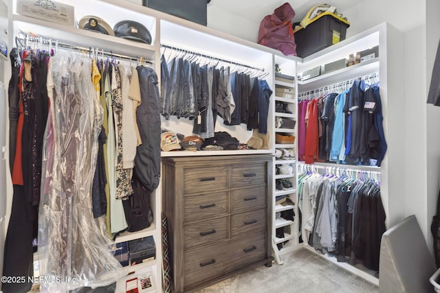 50 Tartan Ct, Saint Augustine, FL 32092 - spacious closet with carpet floors