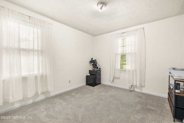 3357 Seville St, Jacksonville, FL 32207 - photo 23
