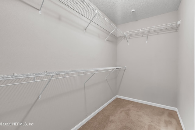 11513 Driftwood Creek Dr, Jacksonville, FL 32218 - photo 24