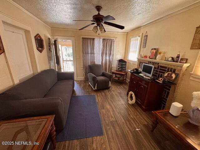 1345 Grothe St, Jacksonville, FL 32209 - photo 6