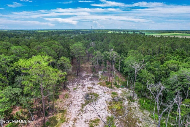 10800 N County Road 13, Saint Augustine, FL 32092 - photo 5