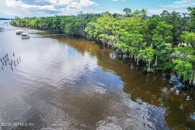10800 N County Road 13, Saint Augustine, FL 32092 - photo 10