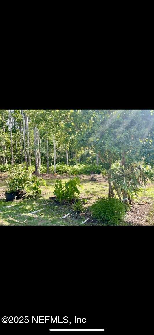373 W New England Dr, Elkton, FL 32033 - photo 20