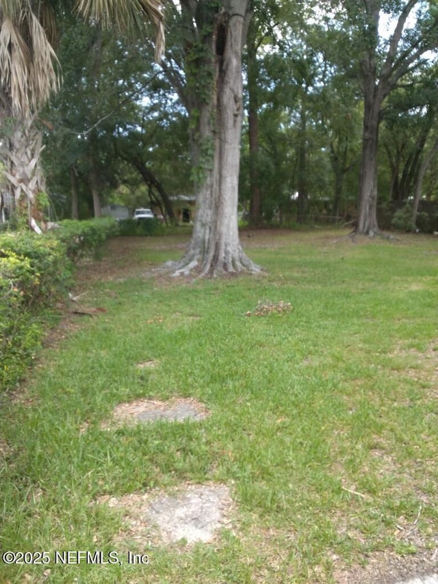 5223 Polan Ln, Jacksonville, FL 32209 - photo 6
