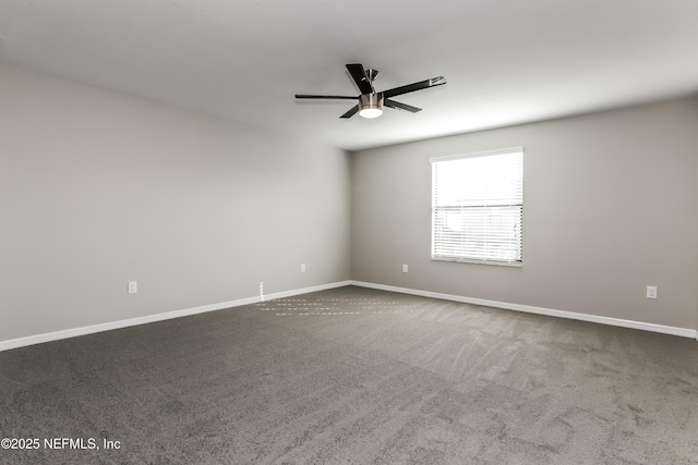 10111 Rosemary Leaf Ln, Riverview, FL 33578 - photo 7