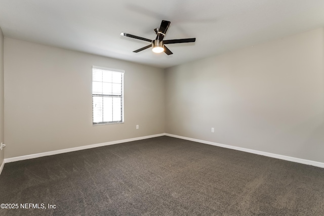 10111 Rosemary Leaf Ln, Riverview, FL 33578 - photo 8