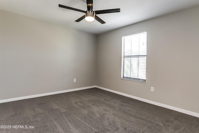 10111 Rosemary Leaf Ln, Riverview, FL 33578 - photo 11
