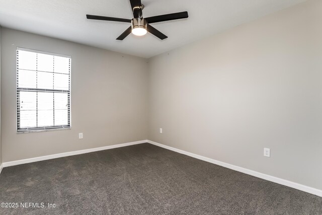 10111 Rosemary Leaf Ln, Riverview, FL 33578 - photo 12