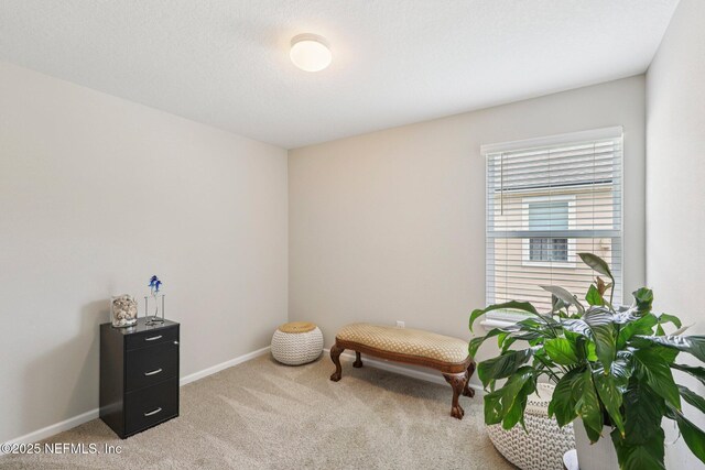 160 Fox Water Trl, Saint Augustine, FL 32086 - photo 19