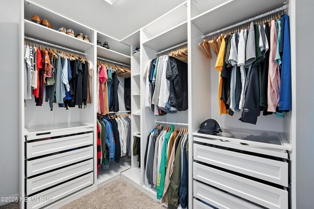 12191 Wynnfield Lakes Cir, Jacksonville, FL 32246 - view of walk in closet
