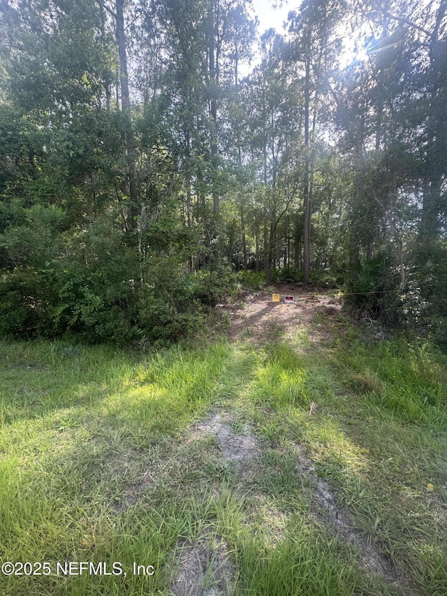 17804 NE County Road 1471 NE, Waldo, FL 32694 - photo 4
