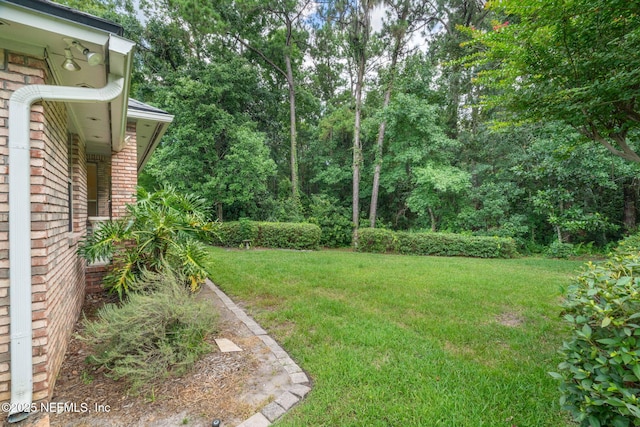 6992 Tonga Dr, Jacksonville, FL 32216 - view of grassy yard