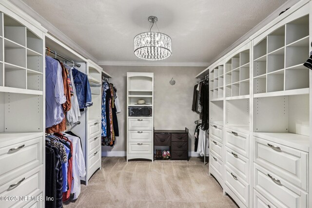 738 W Kings College Dr, Fruit Cove, FL 32259 - walk in closet featuring a chandelier and light carpet