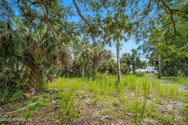 295 Shell Ridge Ln, Ponte Vedra, FL 32081 - photo 14