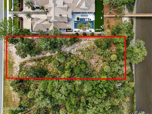 295 Shell Ridge Ln, Ponte Vedra, FL 32081 - photo 10