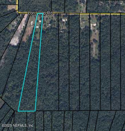 4378 Lori Loop Rd, Keystone Heights, FL 32656 - photo 5