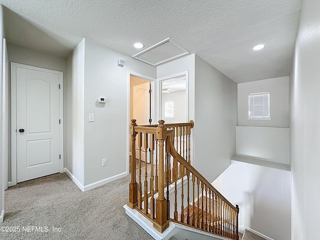 801 Rembrandt Ave, Ponte Vedra, FL 32081 - photo 26