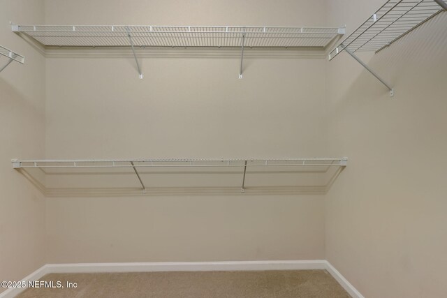 95033 Bermuda Dr, Fernandina Beach, FL 32034 - photo 37