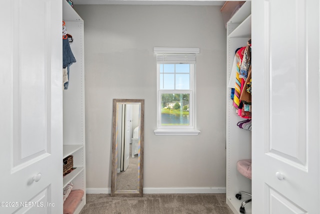 111 Beam Ln, Saint Augustine, FL 32095 - spacious closet featuring carpet floors
