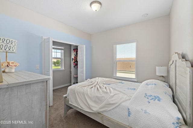 111 Beam Ln, Saint Augustine, FL 32095 - carpeted bedroom featuring multiple windows, a closet, and a spacious closet