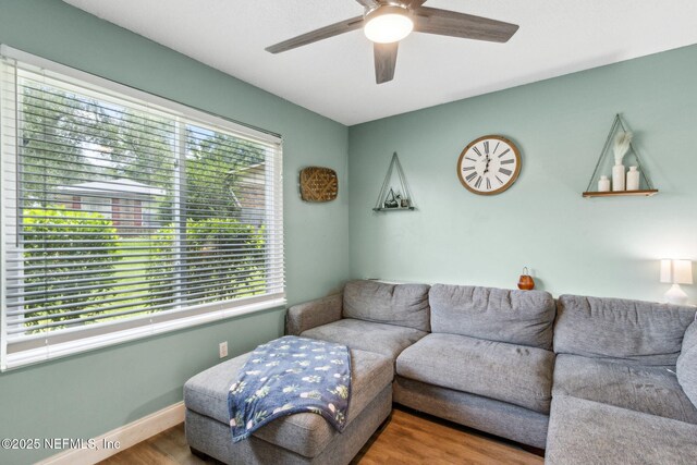 1557 Undine Ave, Jacksonville, FL 32221 - photo 17