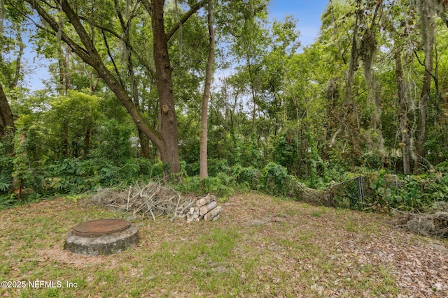 1557 Undine Ave, Jacksonville, FL 32221 - photo 31