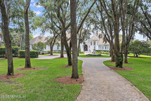 24736 Harbour View Dr, Ponte Vedra Beach, FL 32082 - view of grassy yard featuring curved driveway