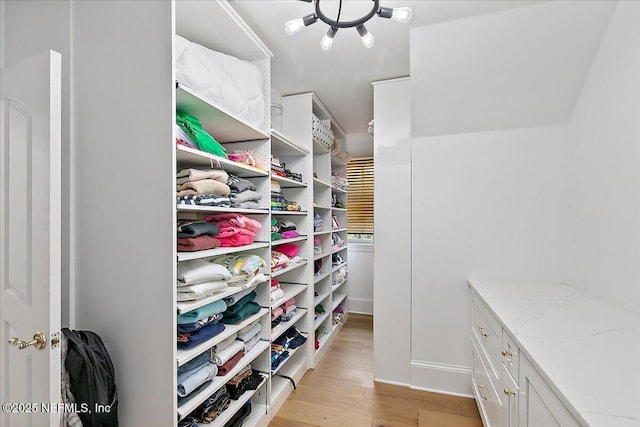 24736 Harbour View Dr, Ponte Vedra Beach, FL 32082 - walk in closet with light wood-type flooring