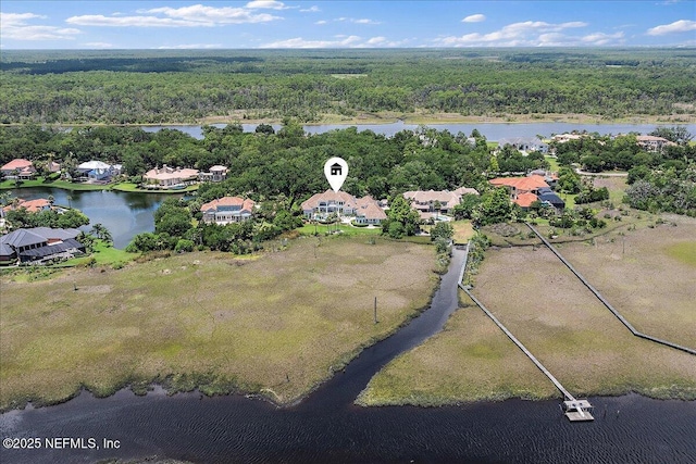 24736 Harbour View Dr, Ponte Vedra Beach, FL 32082 - aerial view of residential area with a nearby body of water