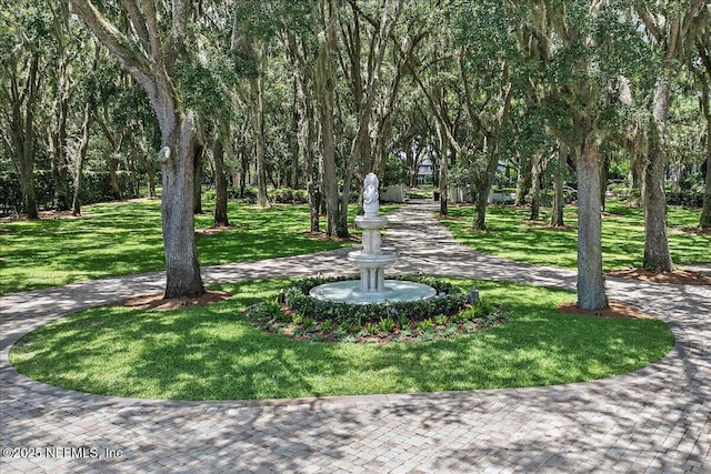 24736 Harbour View Dr, Ponte Vedra Beach, FL 32082 - view of home's community featuring a lawn