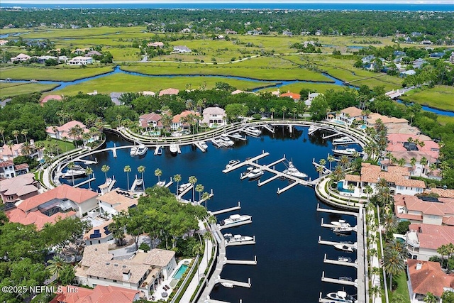 24736 Harbour View Dr, Ponte Vedra Beach, FL 32082 - bird's eye view of a nearby body of water and numerous boat docks