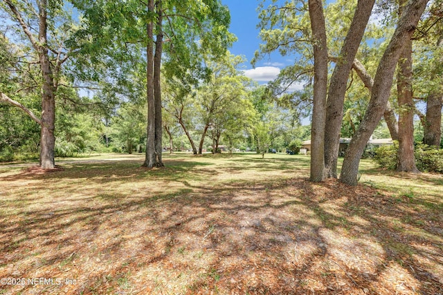 15312 Cape Dr S, Jacksonville, FL 32226 - photo 45