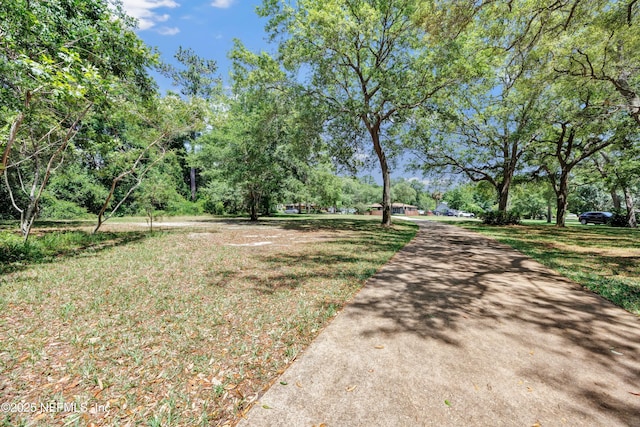 15312 Cape Dr S, Jacksonville, FL 32226 - photo 47