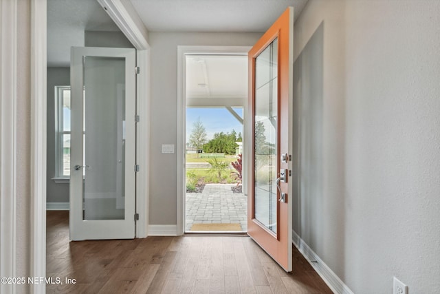 613 Witty Banter Ct, Yulee, FL 32097 - entryway with wood finished floors, french doors, and plenty of natural light