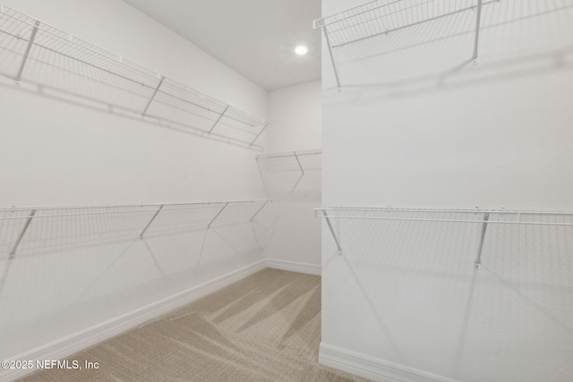 613 Witty Banter Ct, Yulee, FL 32097 - spacious closet with light colored carpet