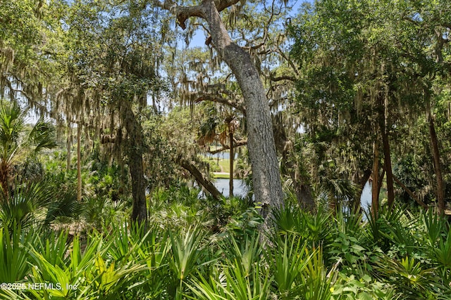 2055 Beach Wood Rd, Fernandina Beach, FL 32034 - photo 37