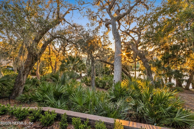 2055 Beach Wood Rd, Fernandina Beach, FL 32034 - photo 38