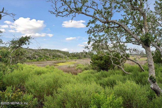 201 S Ocean Grande Dr Unit 104, Ponte Vedra Beach, FL 32082 - view of local wilderness