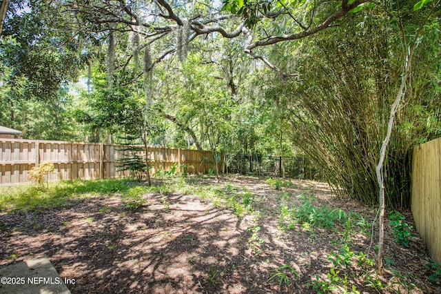 2601 Americas Cup Cir E, Jacksonville, FL 32233 - photo 35