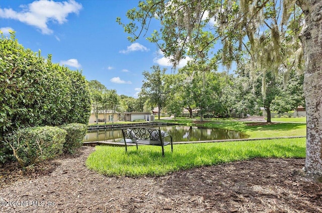 10113 Courtyards Pl W, Jacksonville, FL 32256 - photo 7