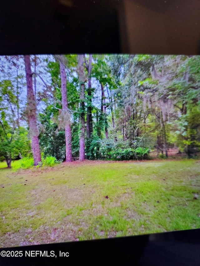 5611 Finch Ave, Jacksonville, FL 32219 - photo 14