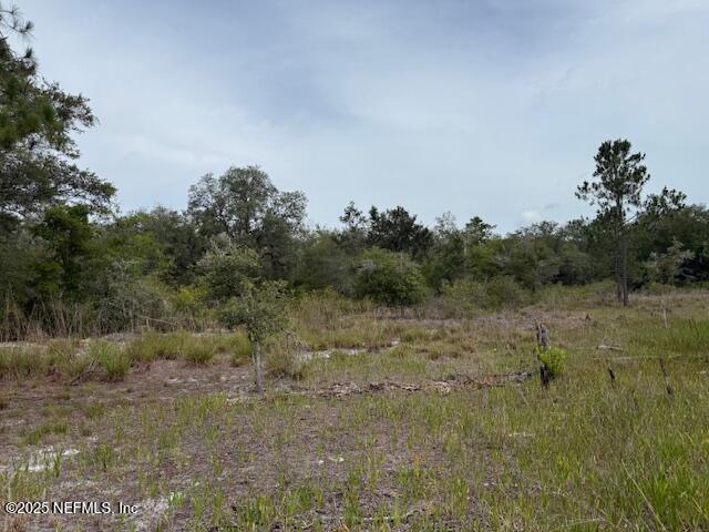 Listing photo 29 - caption unavailable