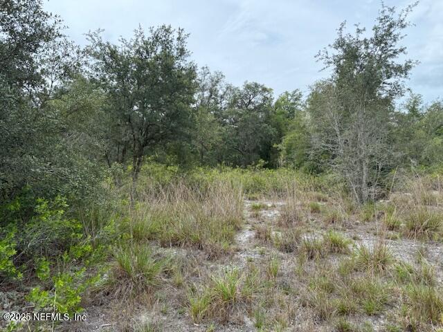 Listing photo 34 - caption unavailable