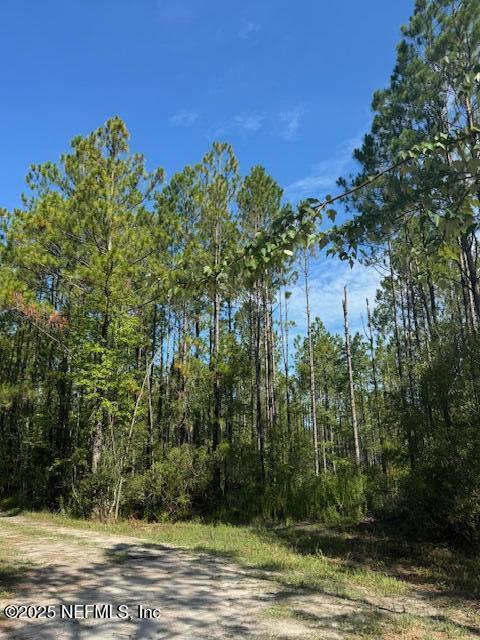 TBD NW 147th Ave, Lake Butler, FL 32054 - photo 6