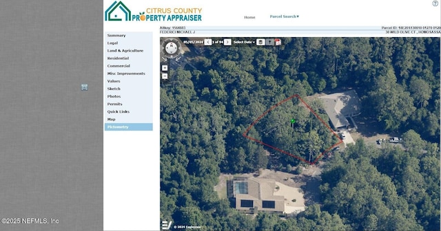 30 Wild Olive Ct, Homosassa, FL 34446 - photo 18