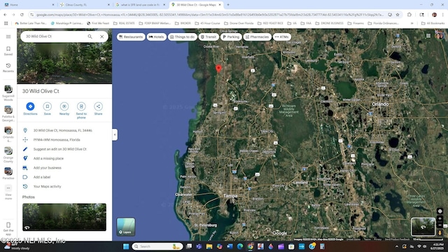 30 Wild Olive Ct, Homosassa, FL 34446 - photo 19