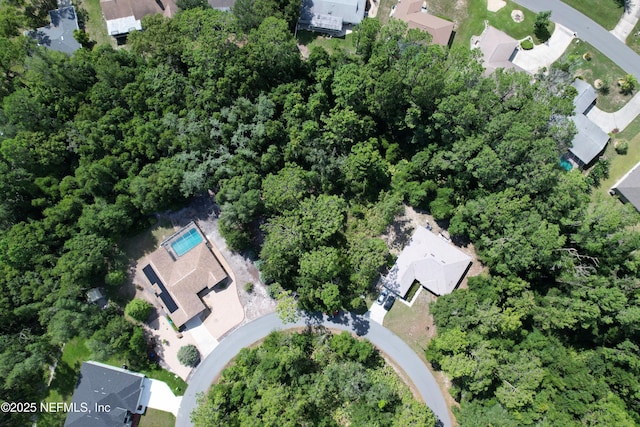 30 Wild Olive Ct, Homosassa, FL 34446 - photo 3